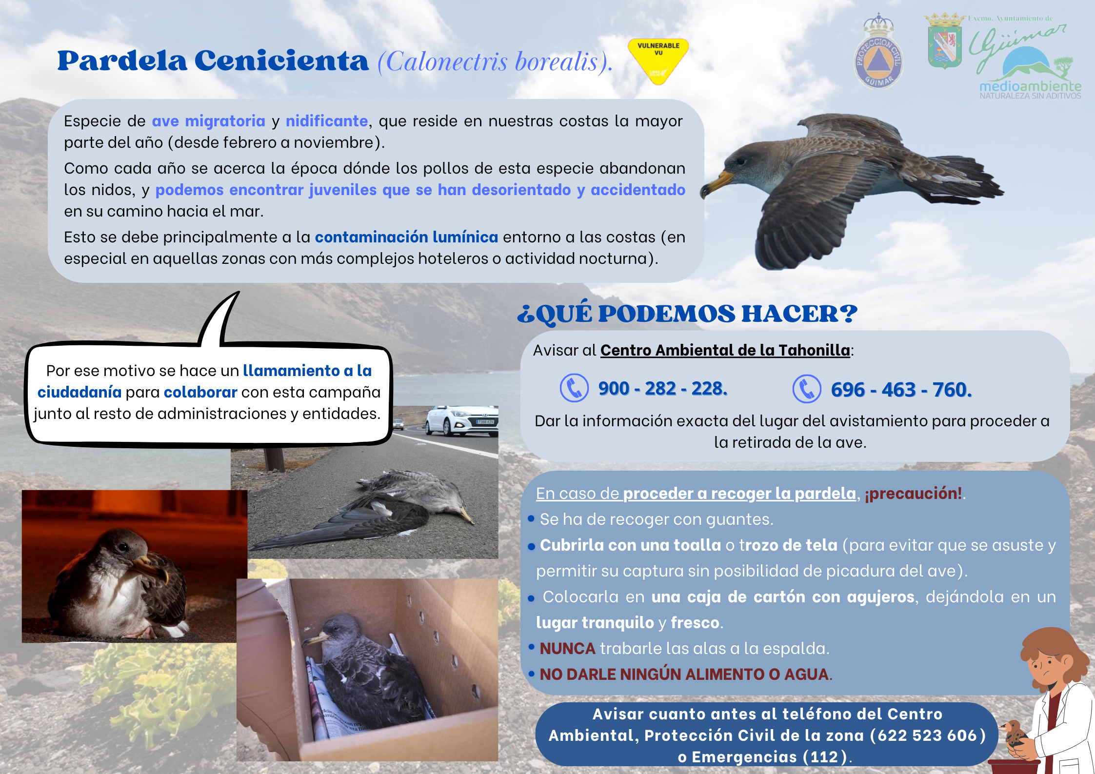 campaña-rescate-pardelas