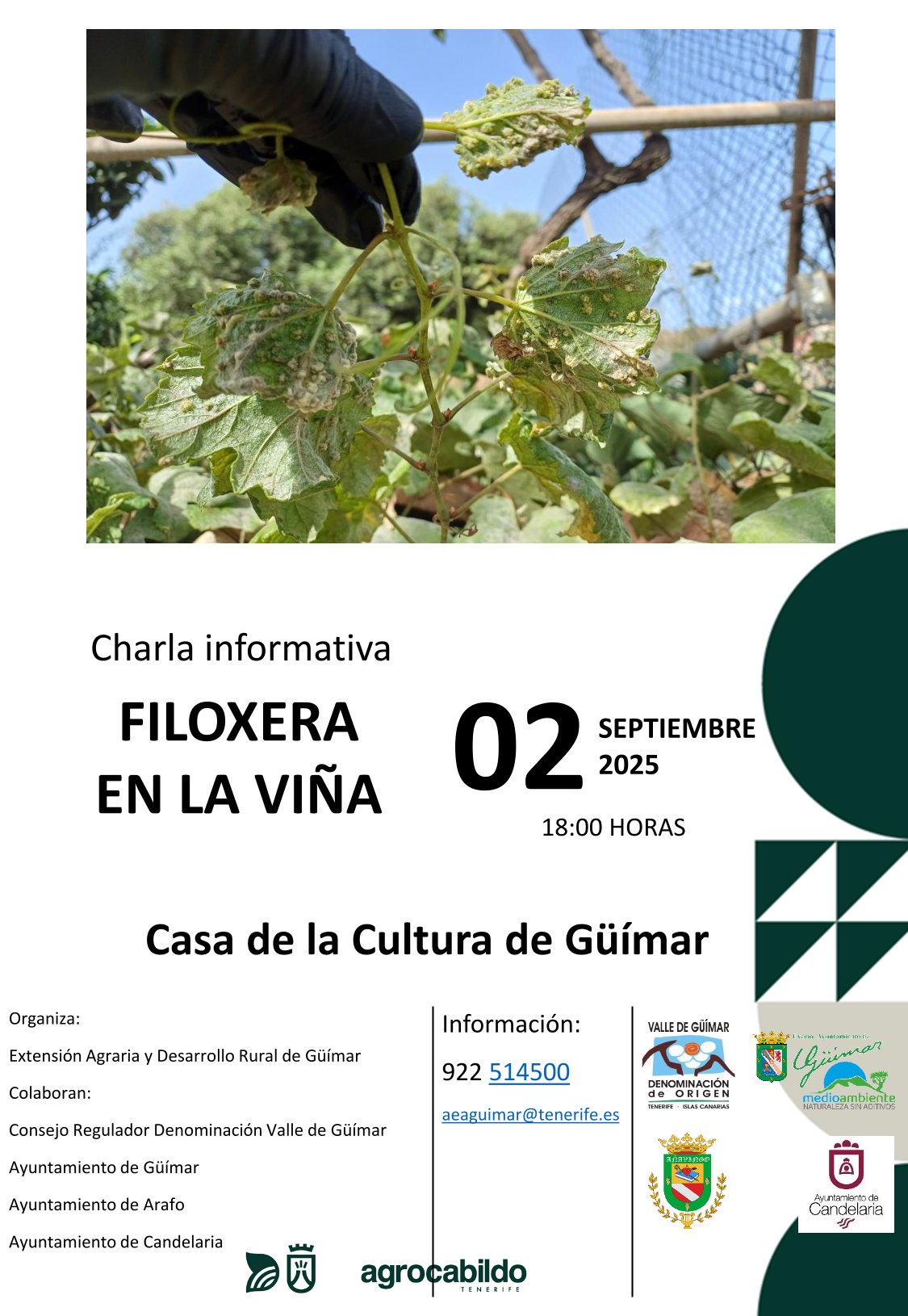 Charla técnica-divulgativa: La filoxera de la vid y estrategias de prevención en el Valle de Güímar
