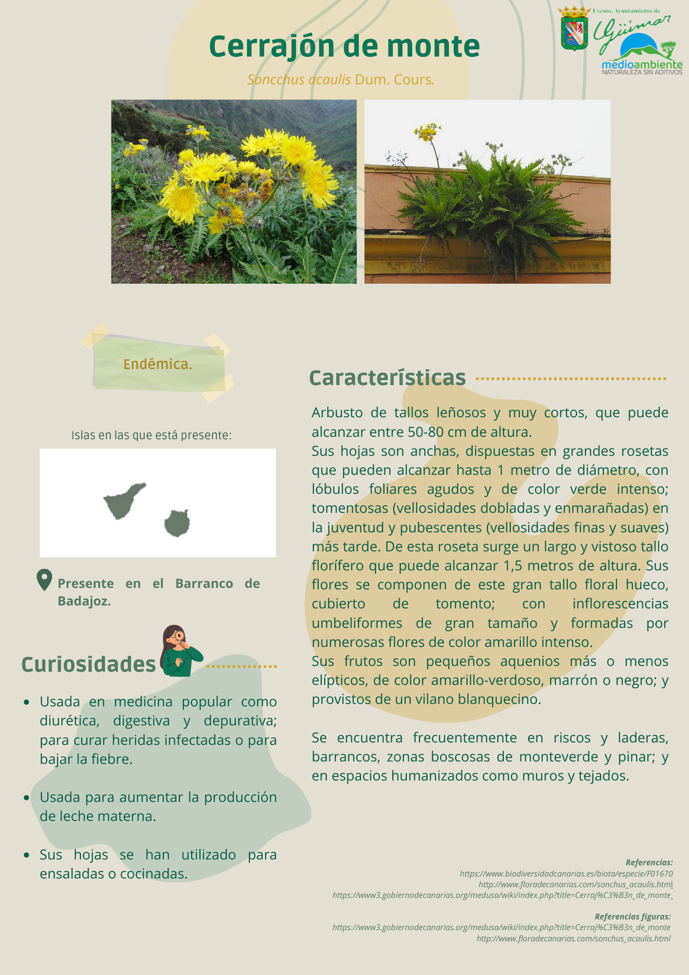 ESPECIES ENDÉMICAS (FLORA) PRESENTES EN LAS ISLAS CANARIAS