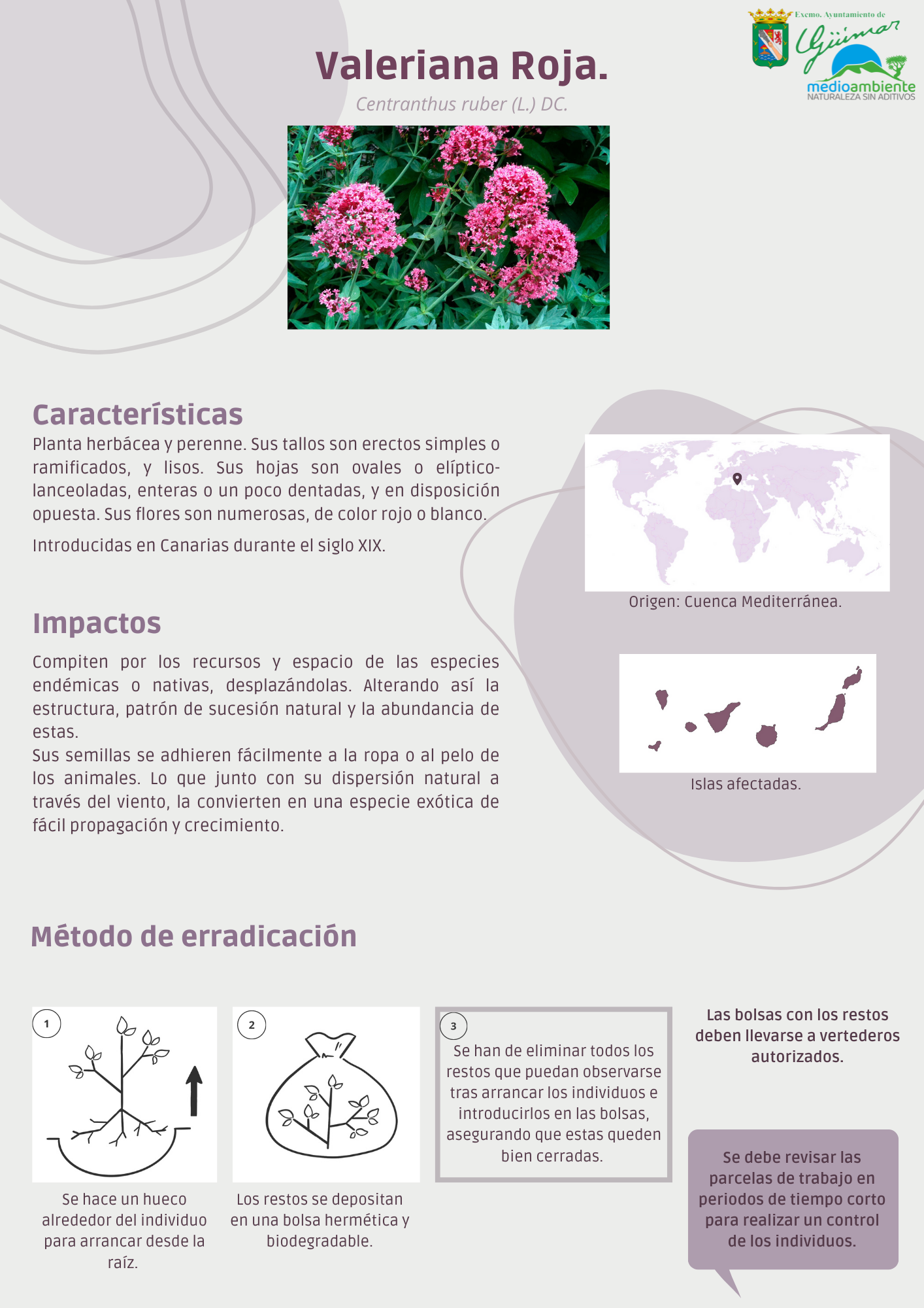 ESPECIES EXÓTICAS INVASORAS (FLORA) PRESENTES LAS ISLAS CANARIAS