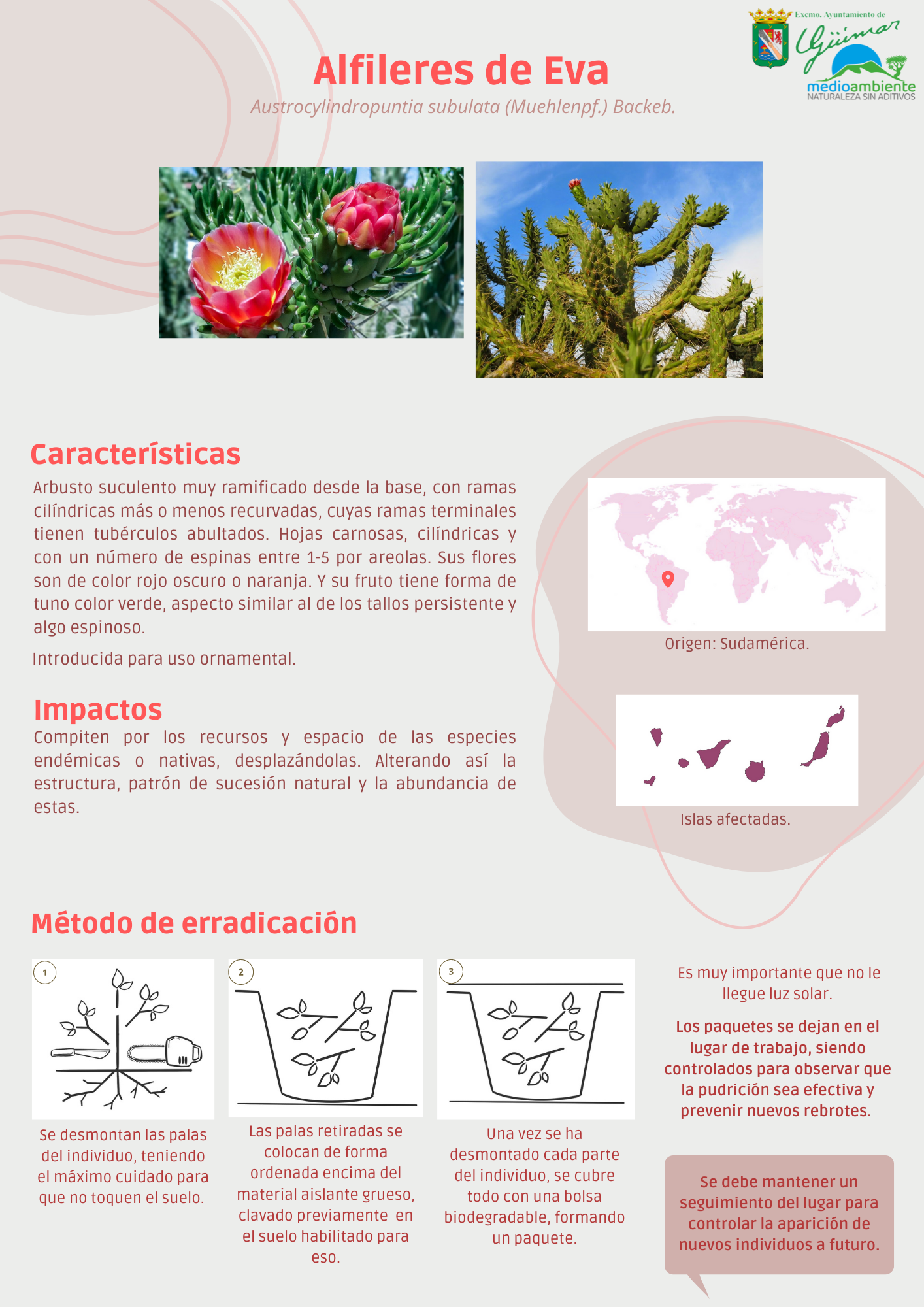 ESPECIES EXÓTICAS INVASORAS (FLORA) PRESENTES LAS ISLAS CANARIAS