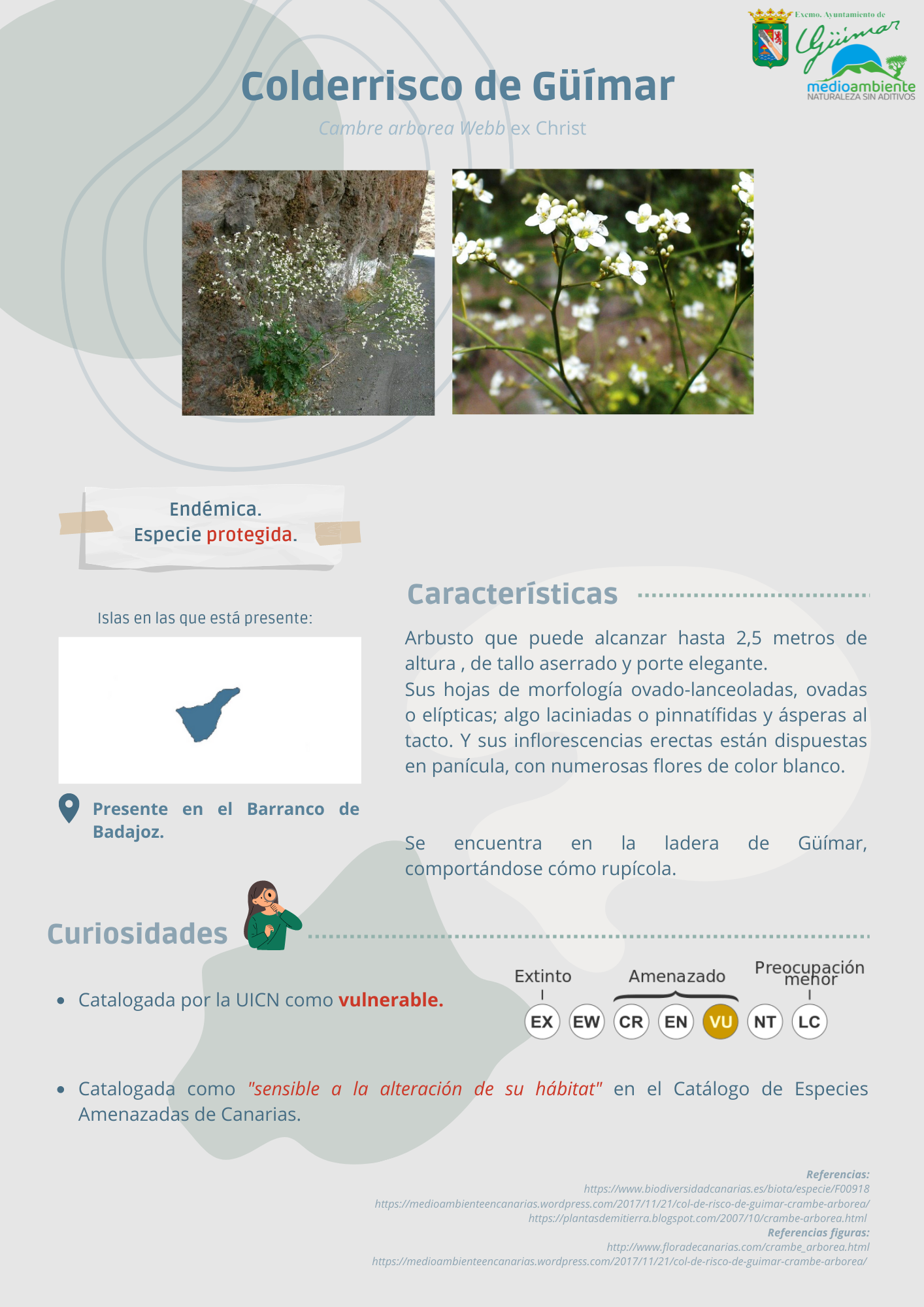 ESPECIES ENDÉMICAS (FLORA) PRESENTES EN LAS ISLAS CANARIAS
