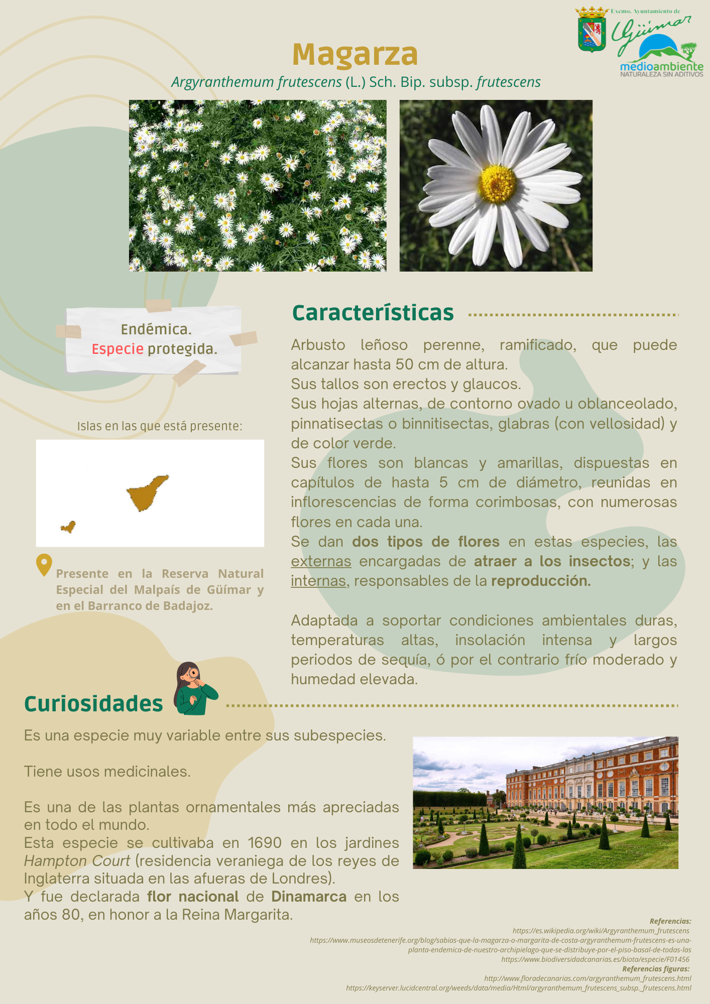 ESPECIES ENDÉMICAS (FLORA) PRESENTES EN LAS ISLAS CANARIAS