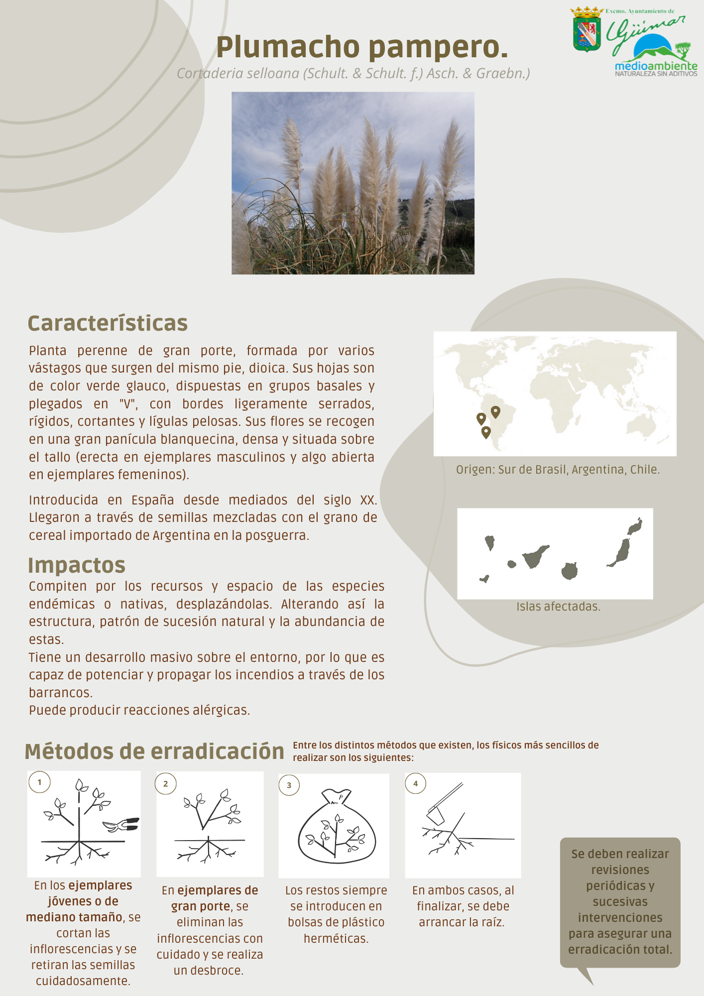 ESPECIES EXÓTICAS INVASORAS (FLORA) PRESENTES LAS ISLAS CANARIAS