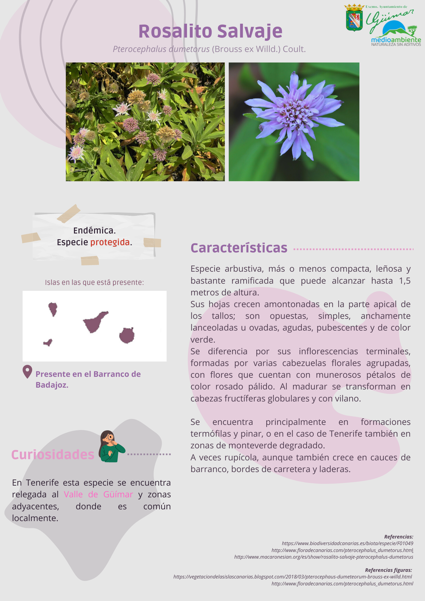 ESPECIES ENDÉMICAS (FLORA) PRESENTES EN LAS ISLAS CANARIAS