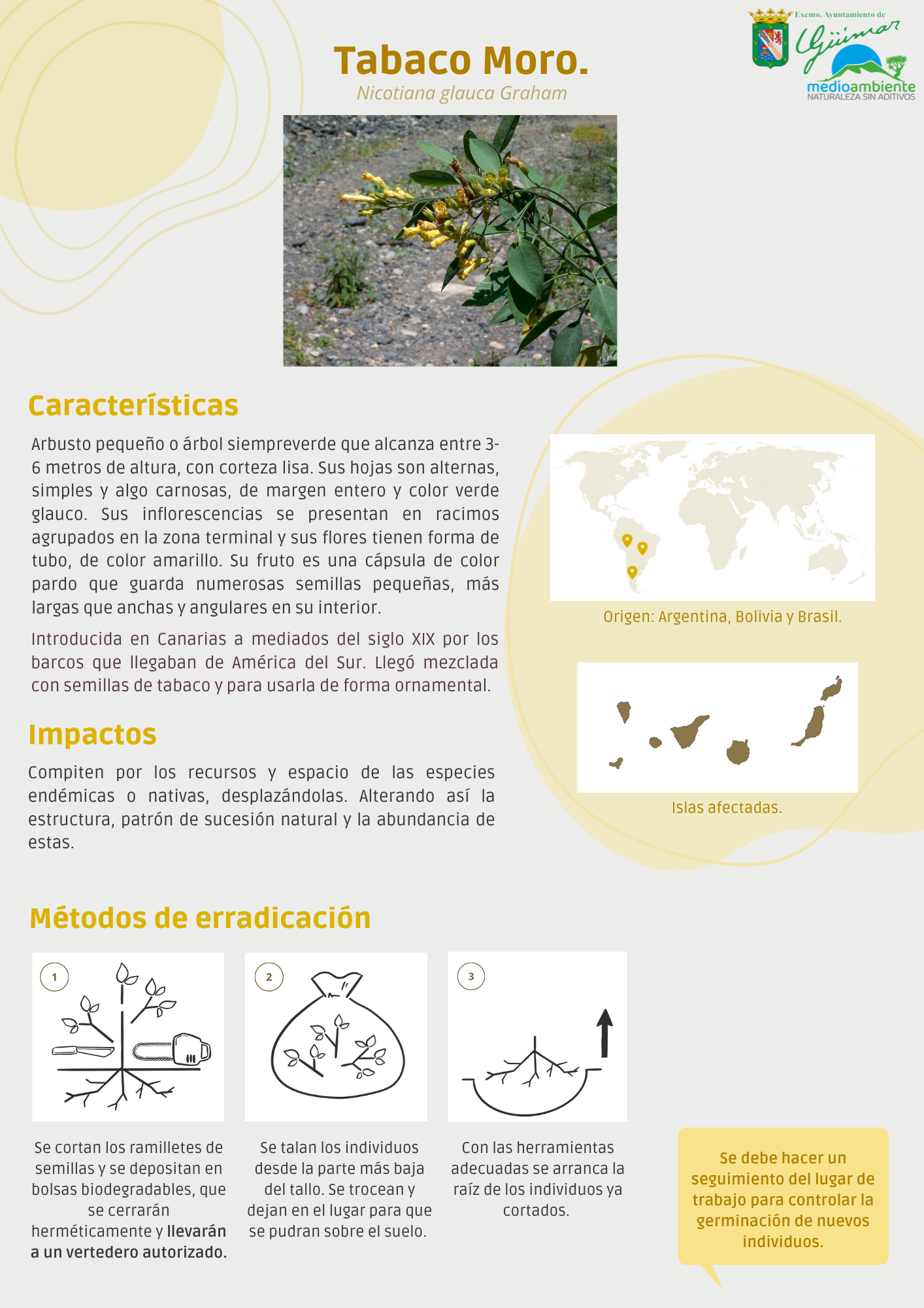 ESPECIES EXÓTICAS INVASORAS (FLORA) PRESENTES LAS ISLAS CANARIAS