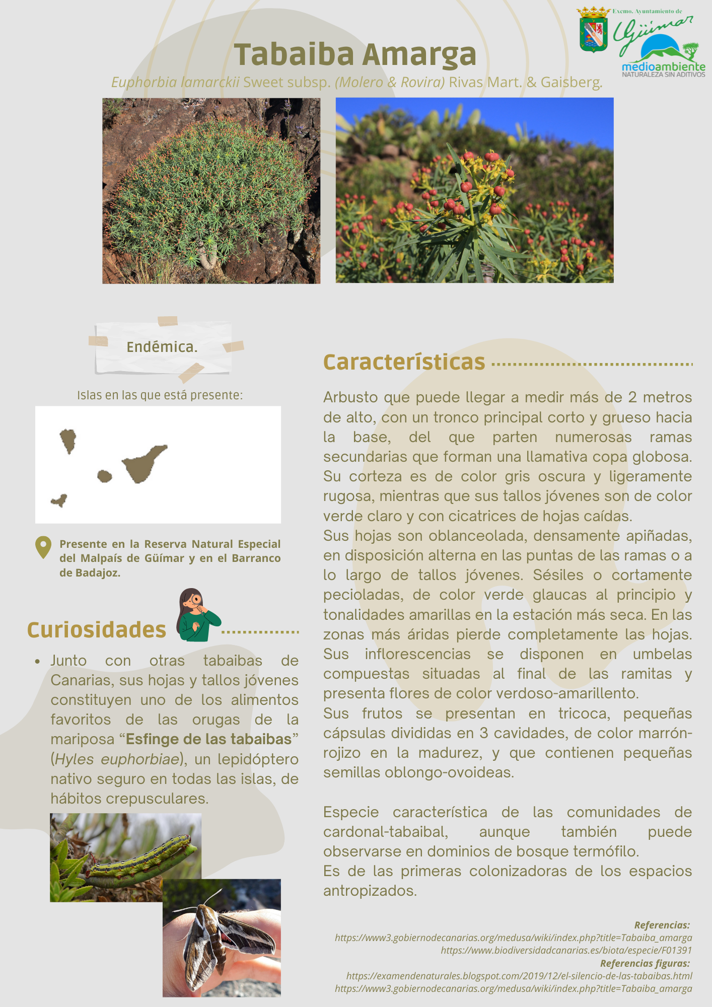 ESPECIES ENDÉMICAS (FLORA) PRESENTES EN LAS ISLAS CANARIAS
