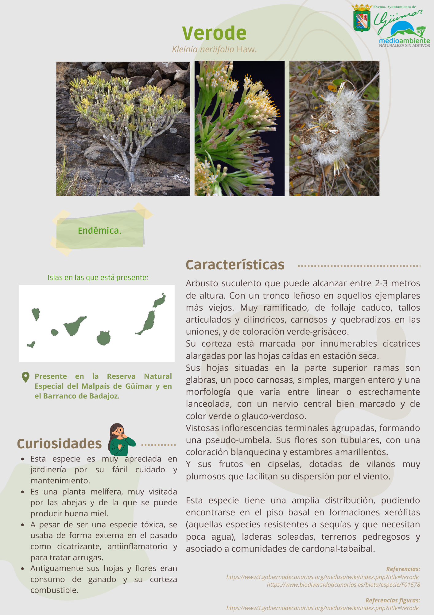 ESPECIES ENDÉMICAS (FLORA) PRESENTES EN LAS ISLAS CANARIAS