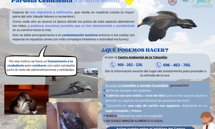campaña-rescate-pardelas