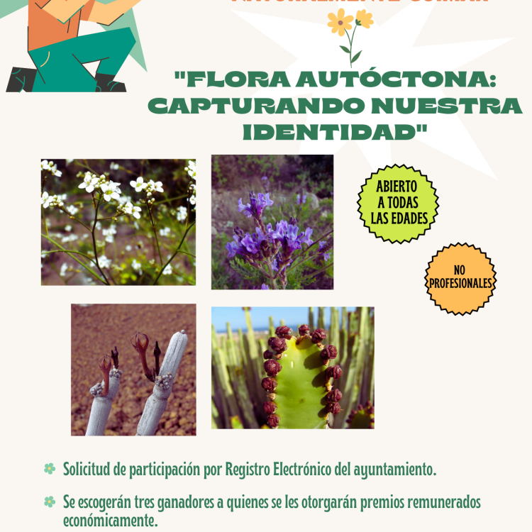 Segundo concurso fotografía Güímar.