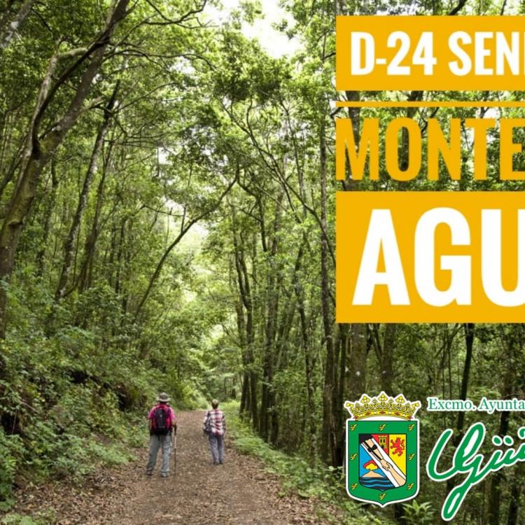 Monte del Agua