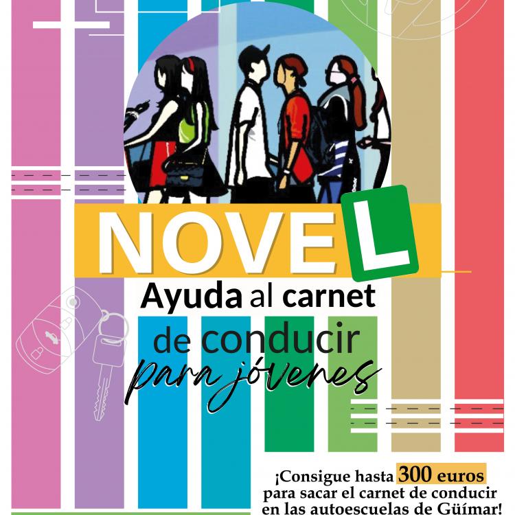 ayuda_carnet_conducir