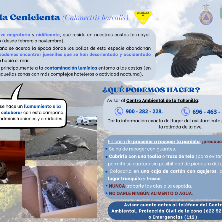 campaña-rescate-pardelas