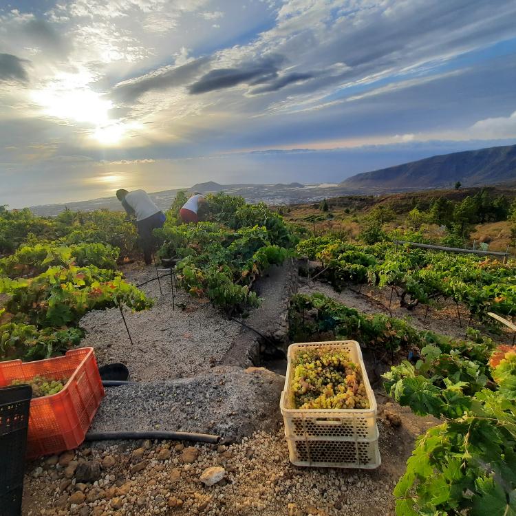 fotografia-ganadora-por-jurado-profesional2023-autora_veronica-m-perez-vera