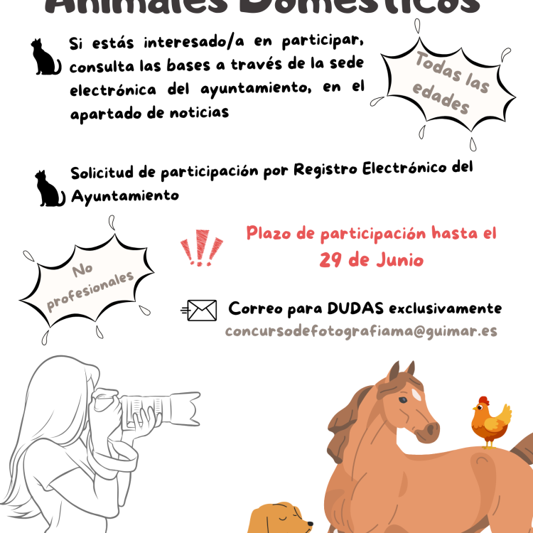 Concurso fotografía