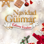 Programa Navidad 2025